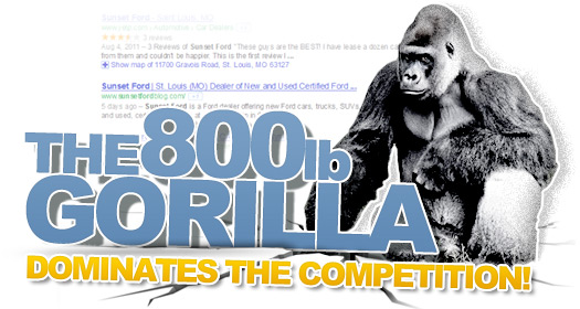 The 800 lb Gorilla